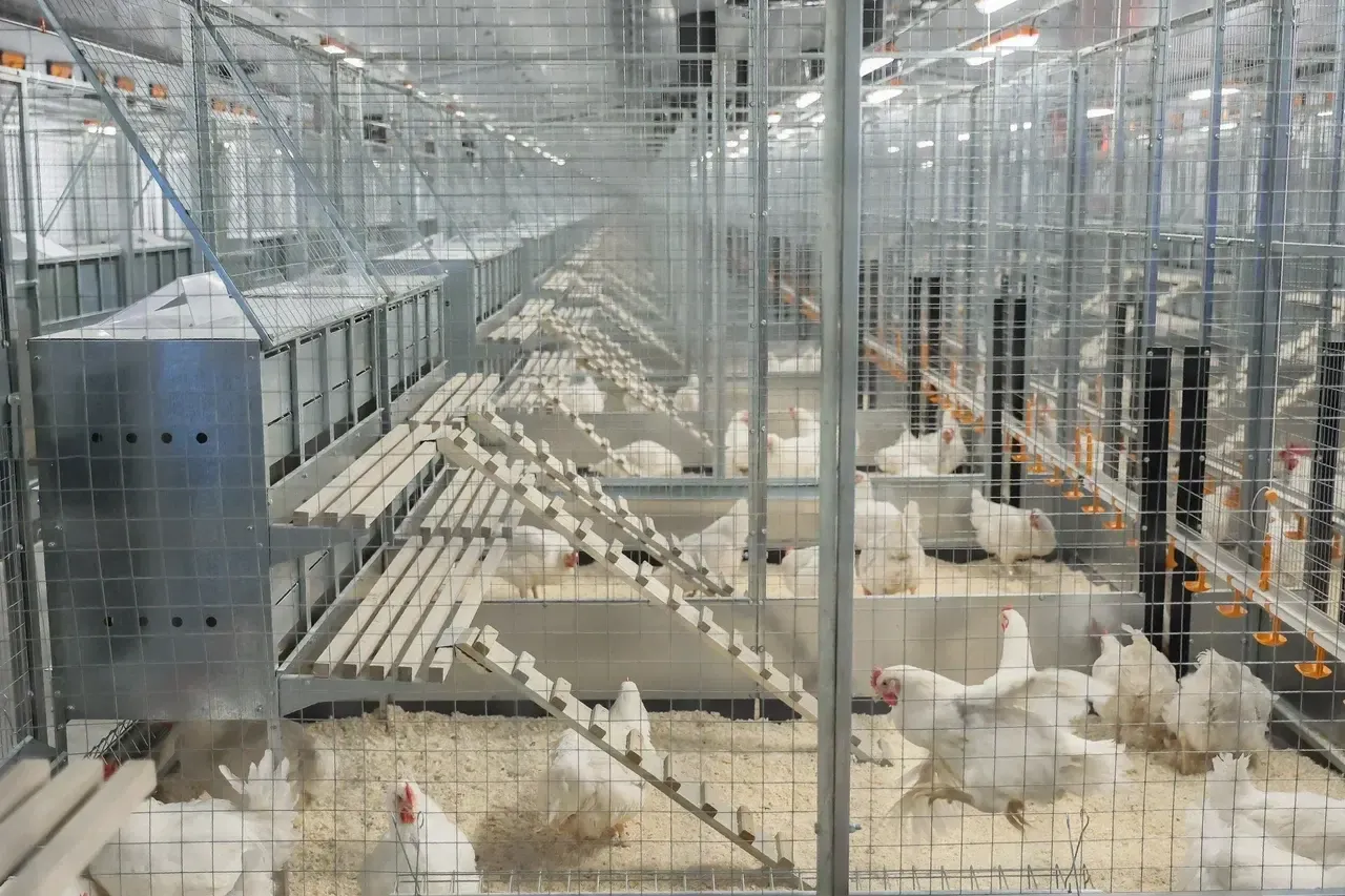 Константин Семенец