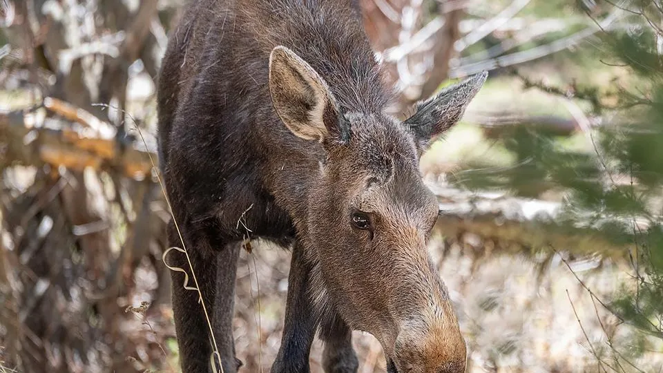 Фото: istockphoto.com