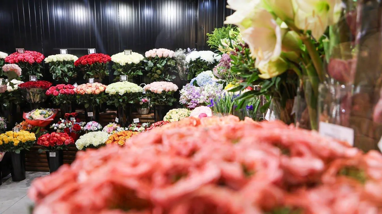 REGIONS/Роман Малышенко