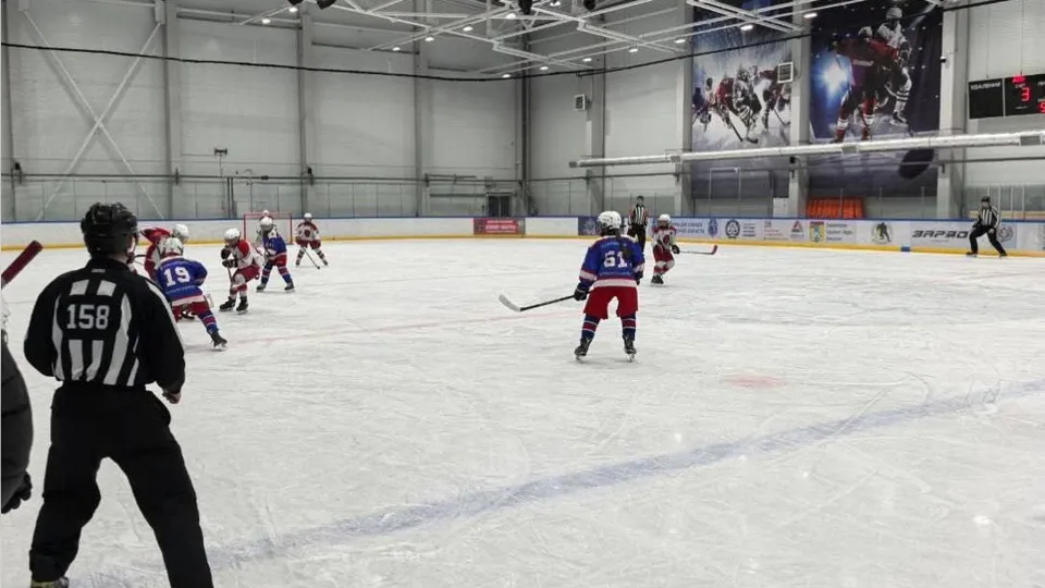 Фото: пресс-служба администрации г.о. Домодедово