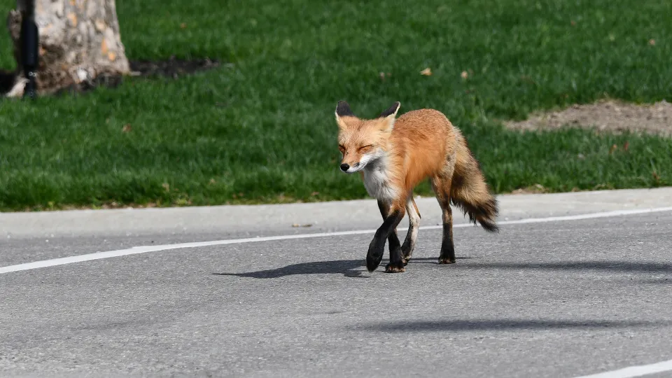 Фото: istockphoto.com