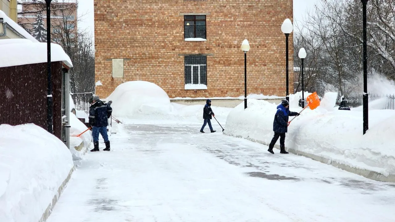 REGIONS/Мария Шигорева