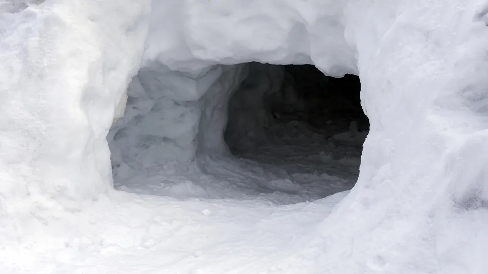 Фото: istockphoto.com/tanyss