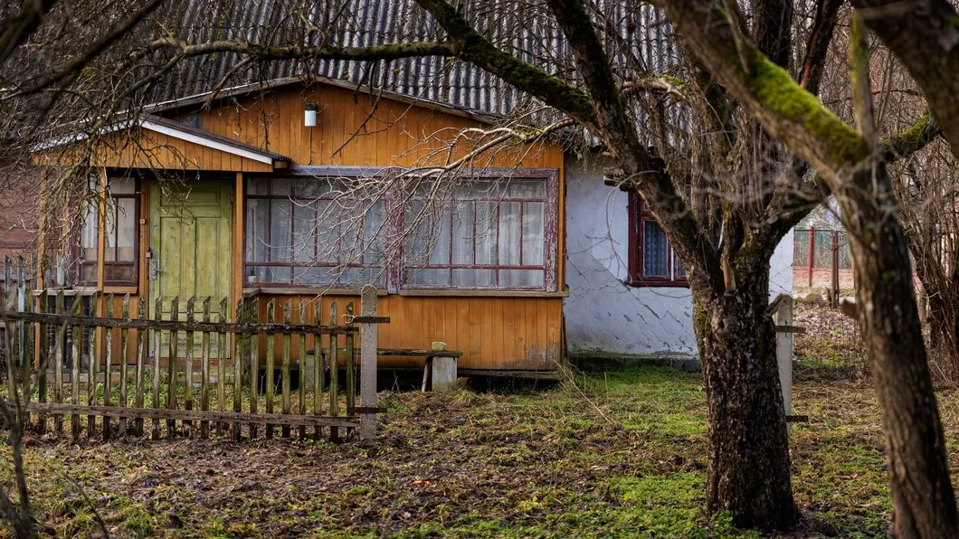 Фото: freepik.com