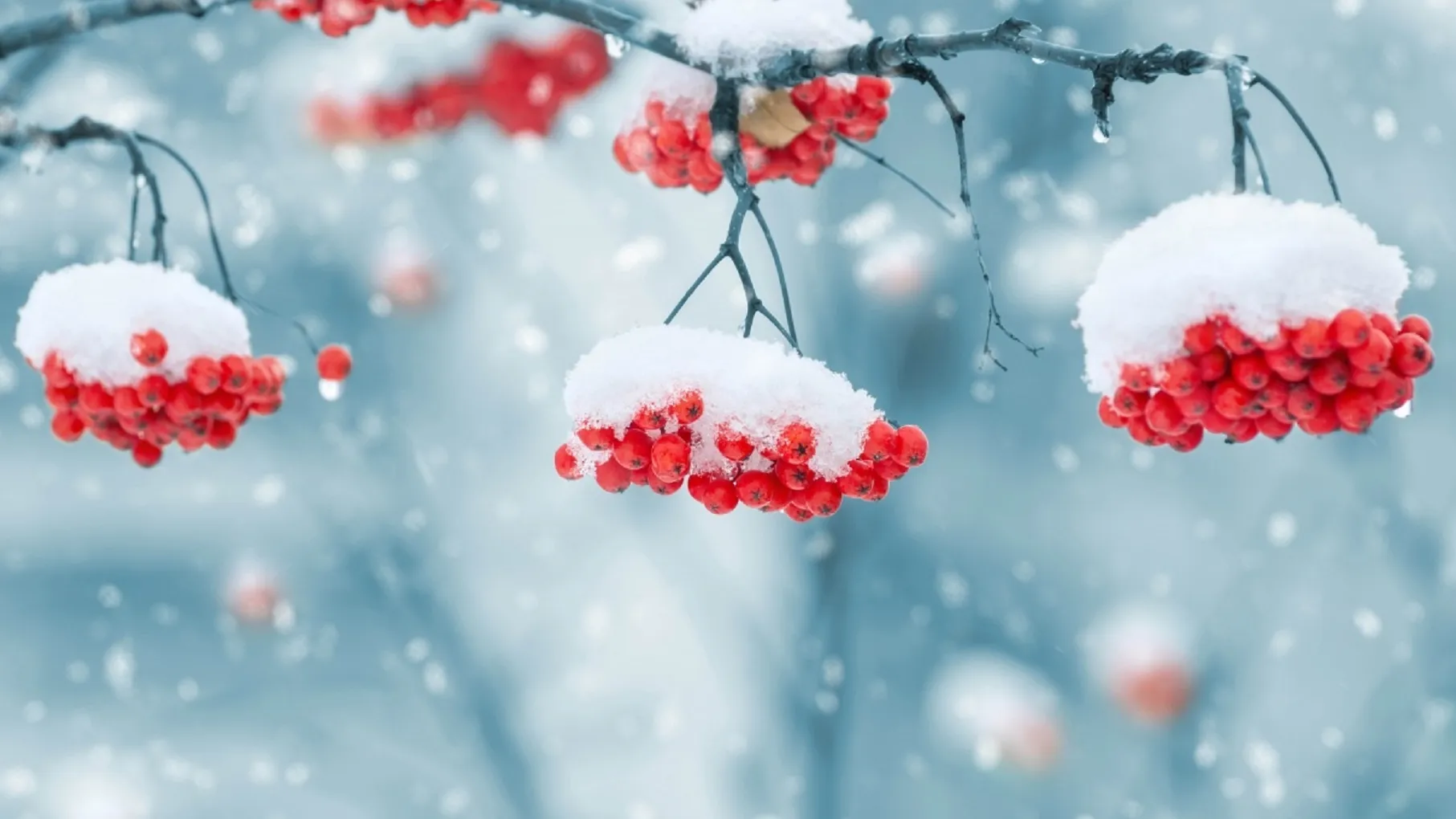 Фото: pxhere.com