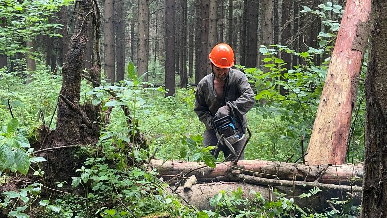 Фото: пресс-служба администрации Можайского м. о.