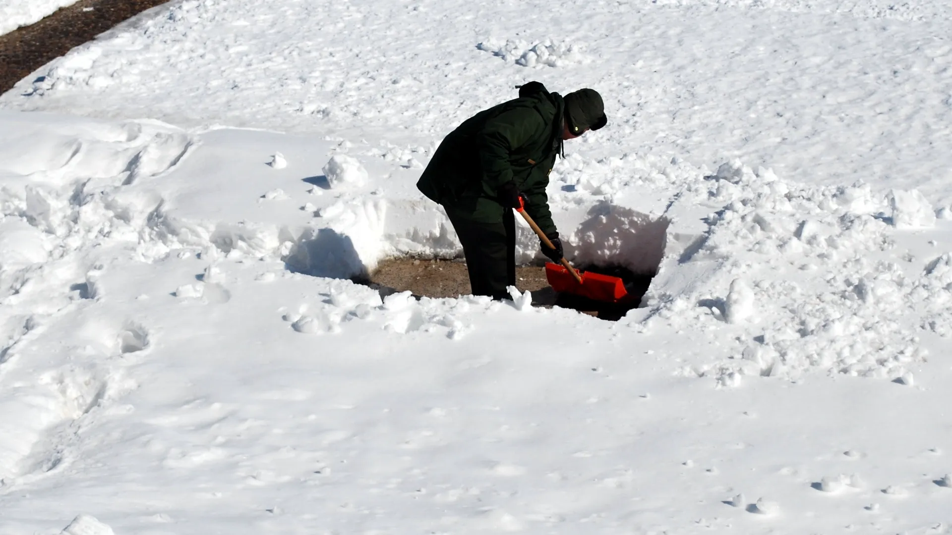 Фото: pxhere.com