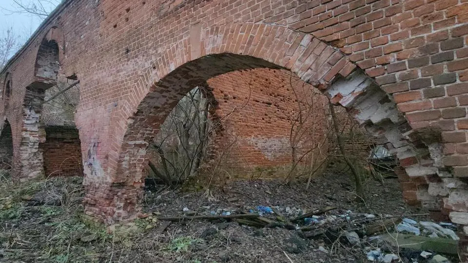 Фото: Медиабанк Подмосковья/Иван Дубров