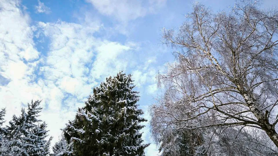 Фото: REGIONS/Роман Малышенко