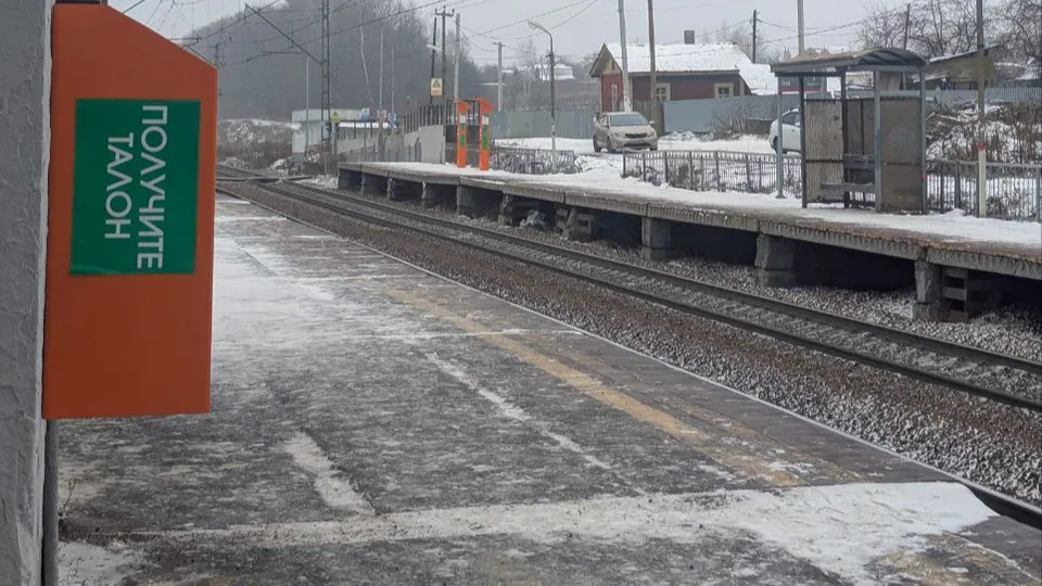 Фото: пресс-служба администрации г. о. Кашира