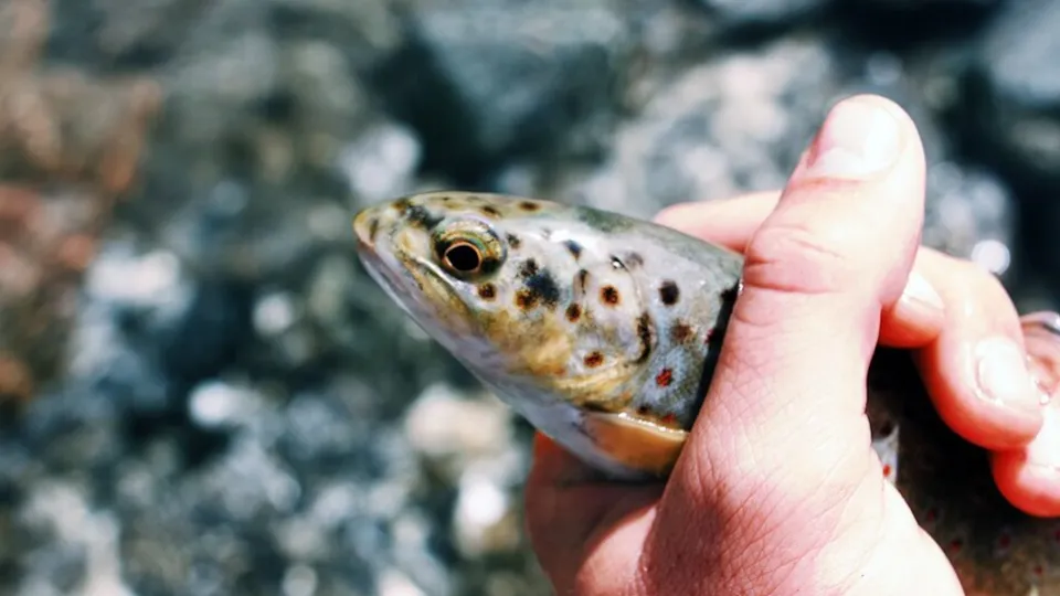 Фото: freepik.com