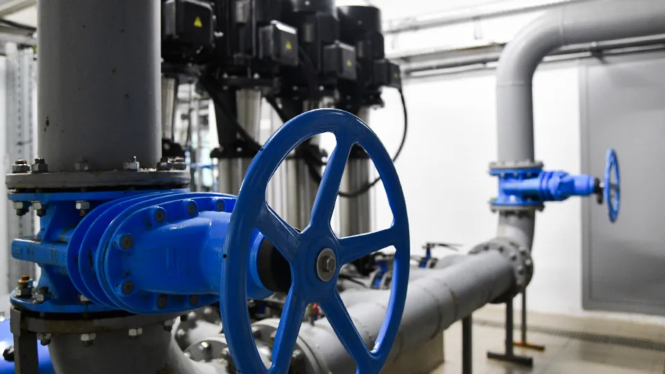 Фото: пресс-служба губернатора и правительства Московской области