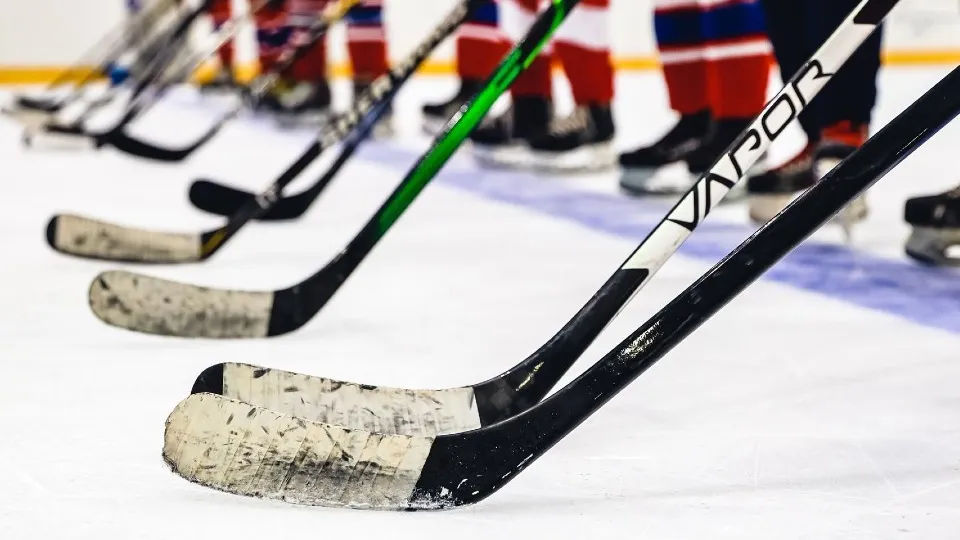 Фото: Администрация городского округа Химки