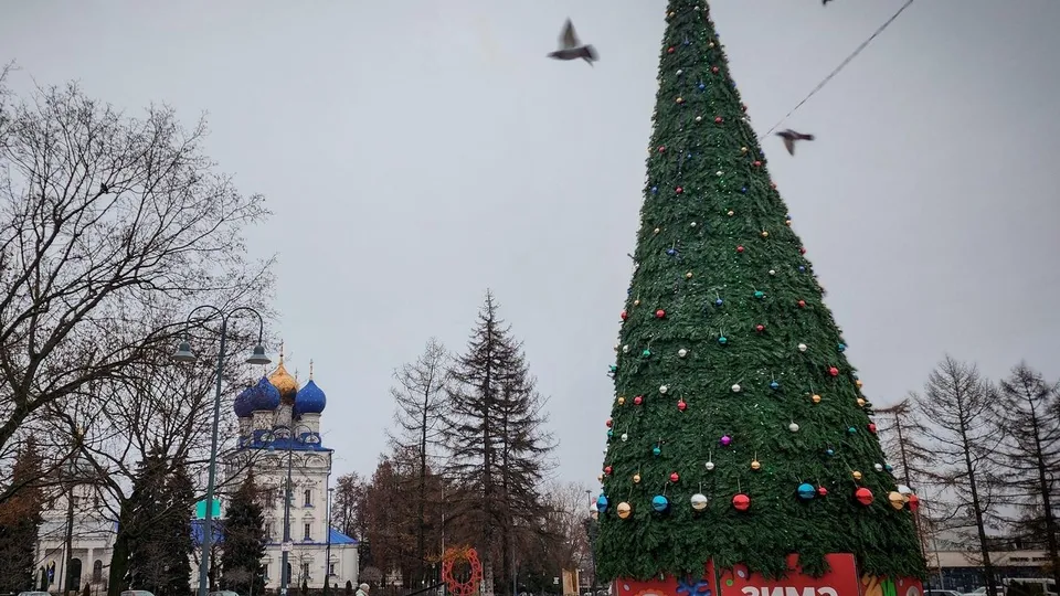 Фото: МедиаБанк Подмосковья/Ольга Антонова