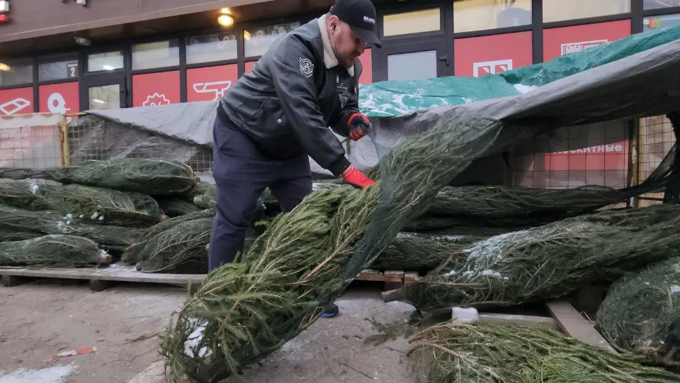 Фото: МедиаБанк Подмосковья/Екатерина Данилина