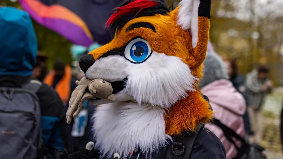 Фото: vk.com/Московское Объединение Фурри | МОФ