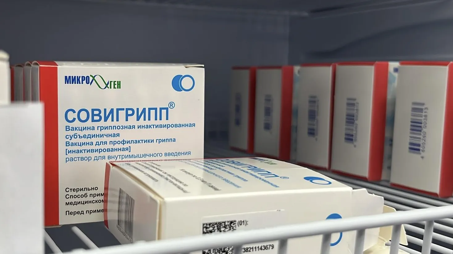 Фото: Анна Тюрюмина