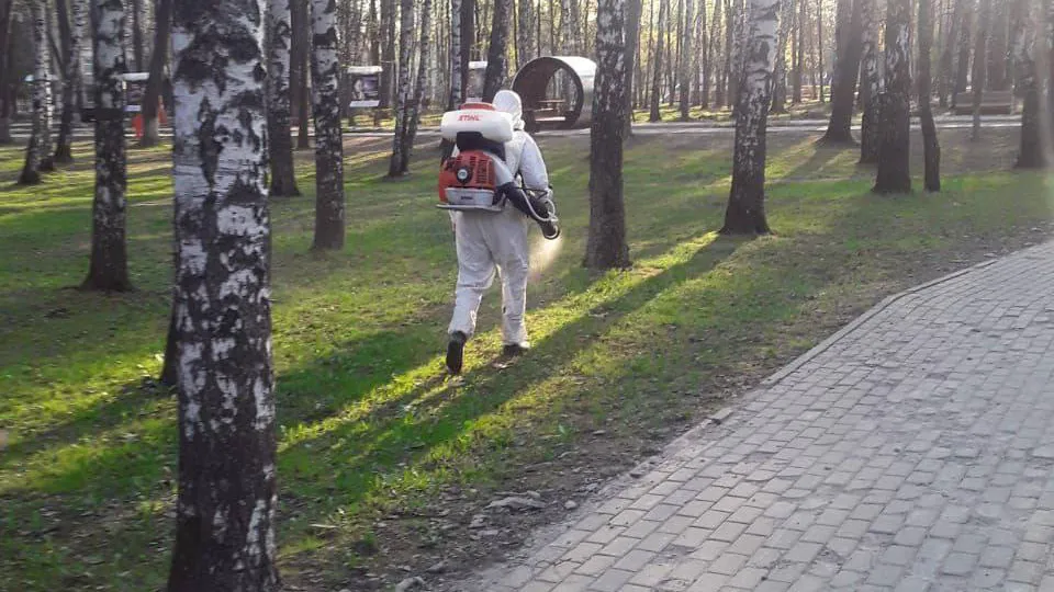 Фото: пресс-служба администрации городского округа Королев