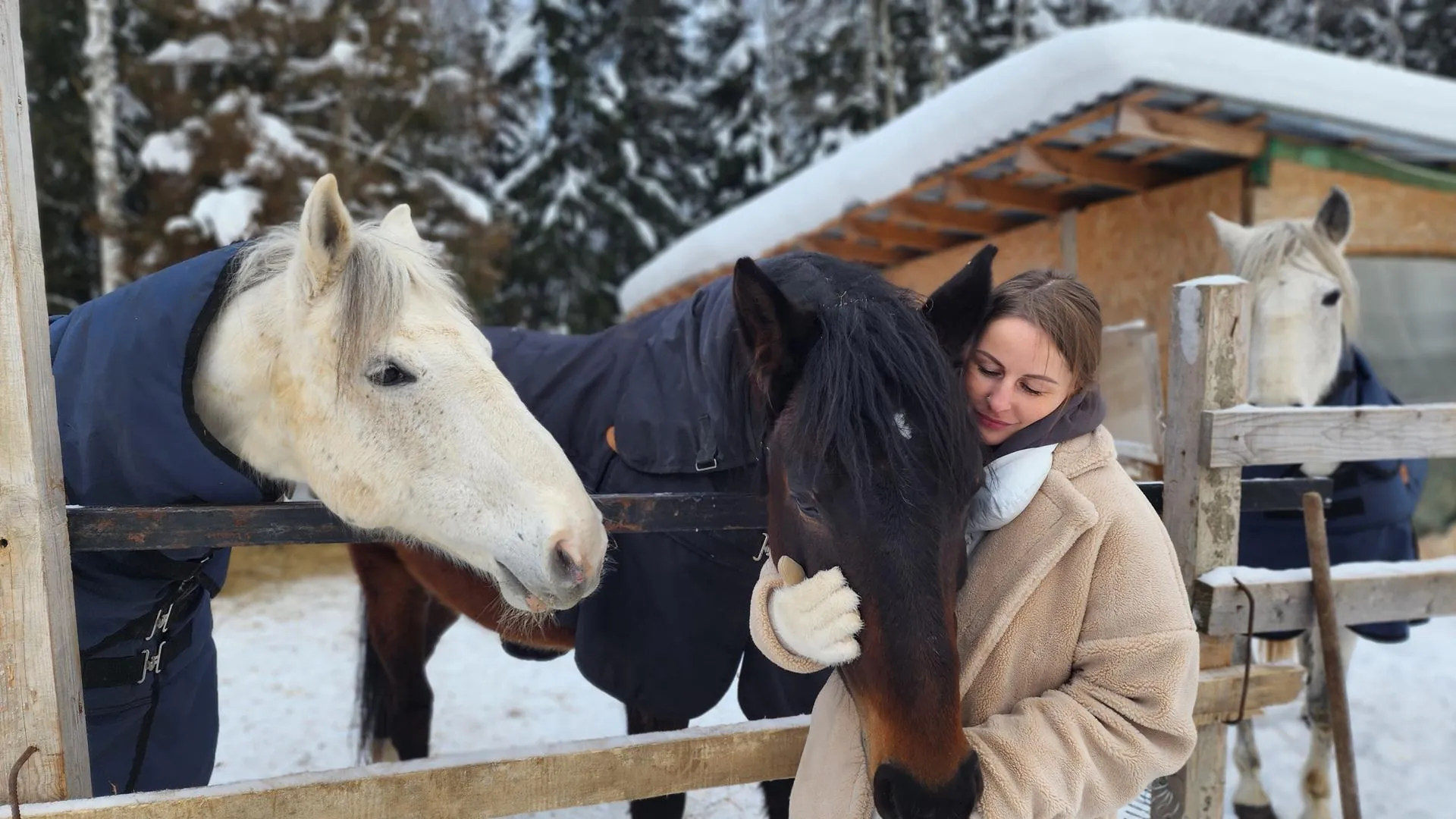МедиаБанк Подмосковья/Валентина Максимова