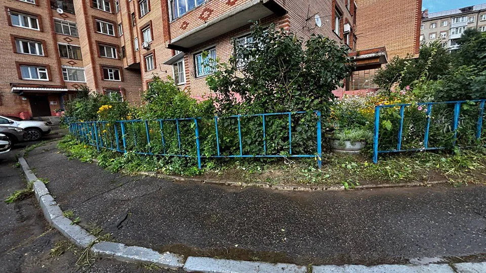 Фото: пресс-служба администрации г.о. Пушкинский