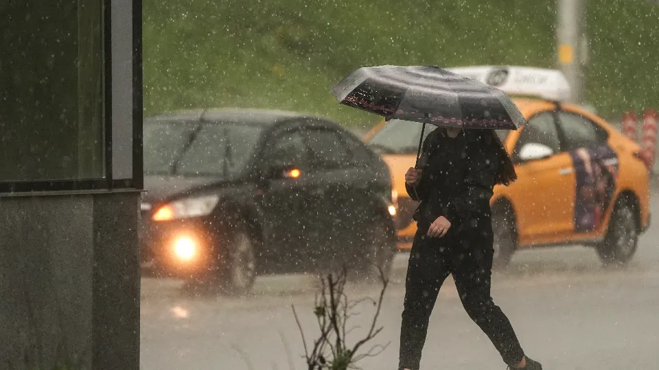 Фото: медиасток.рф