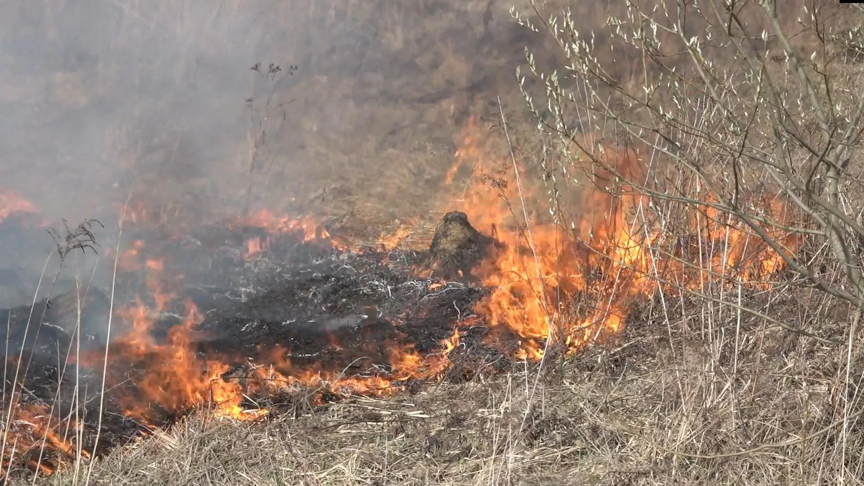 REGIONS/Наталья Надточая