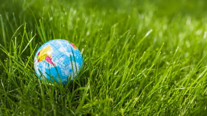 Фото: ru.freepik.com