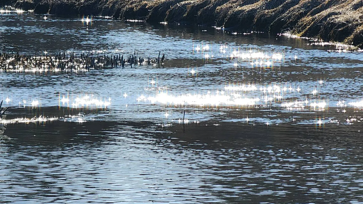 Фото: МедиаБанк Подмосковья/Екатерина Данилина