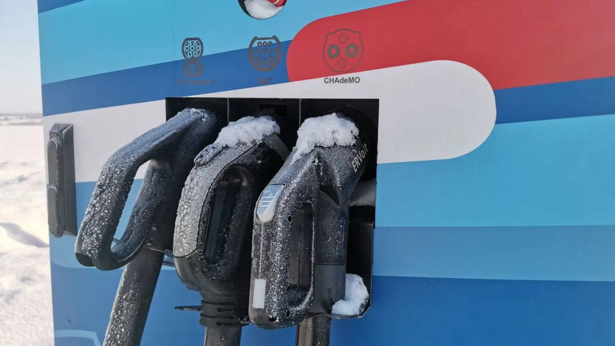 Фото: Дарья Кургузова