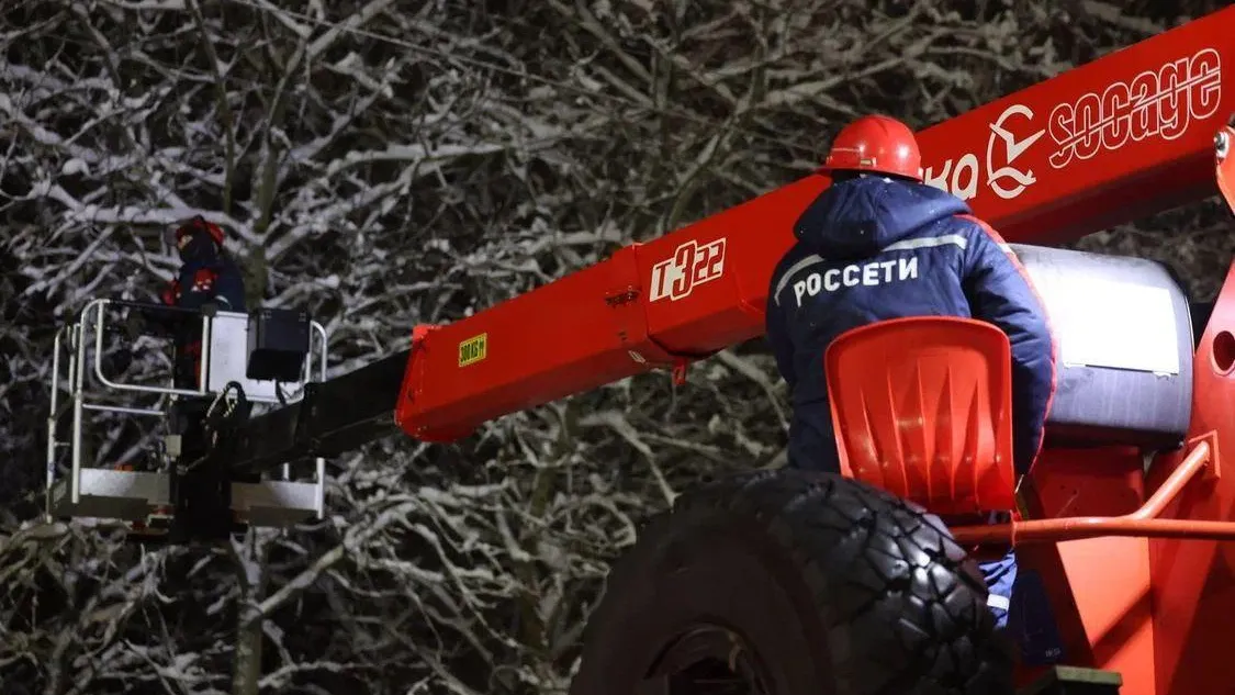 Фото: Россети Московский регион