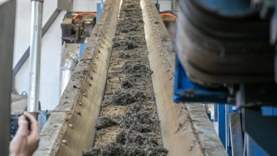 Фото: Мария Юдина