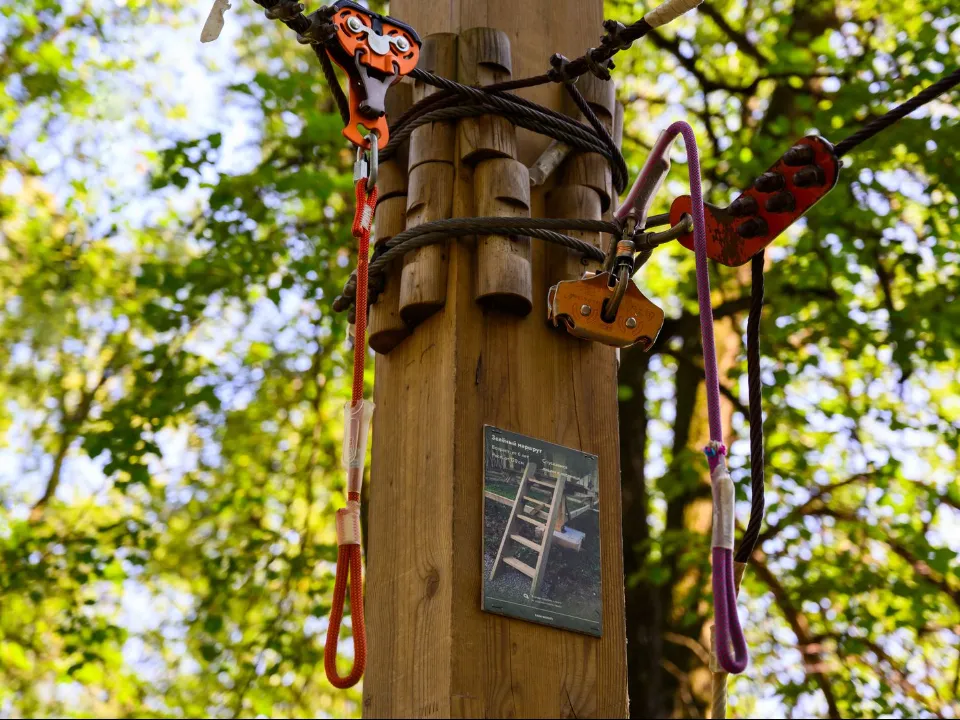 Фото: медиасток.рф