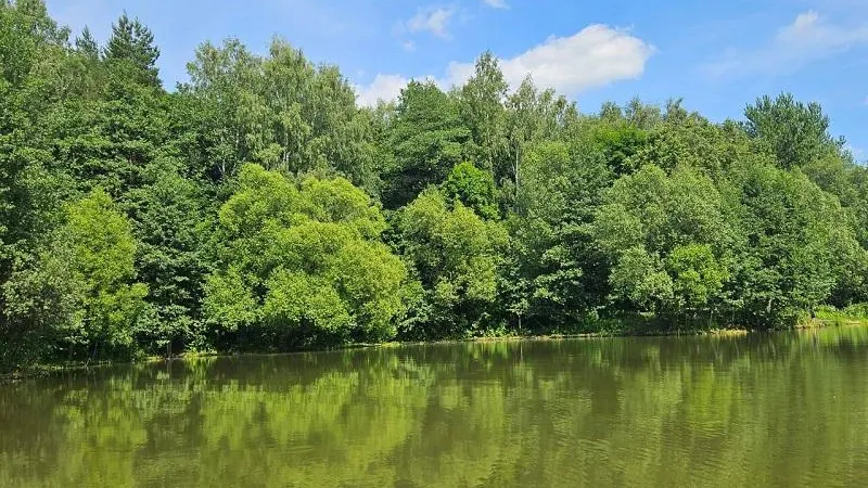 Фото Минэкологии МО.