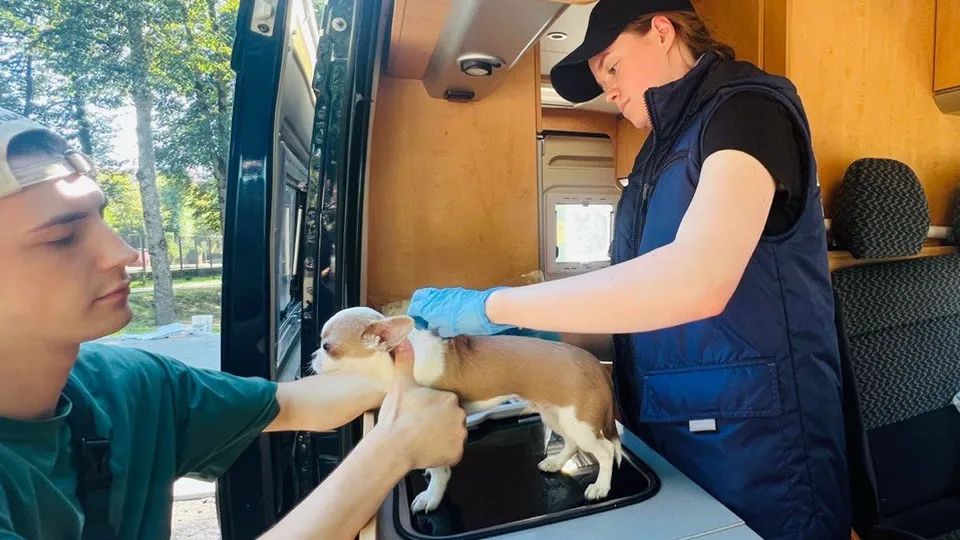 Фото: Минсельхоз Московской области