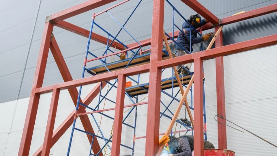 Фото: Дарья Попова