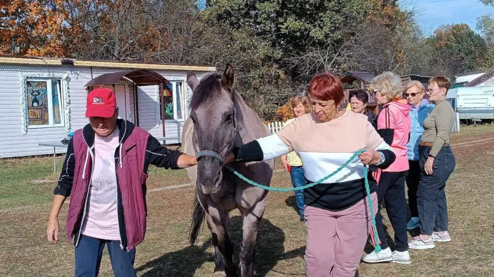 Фото: Администрация г.о. Чехов