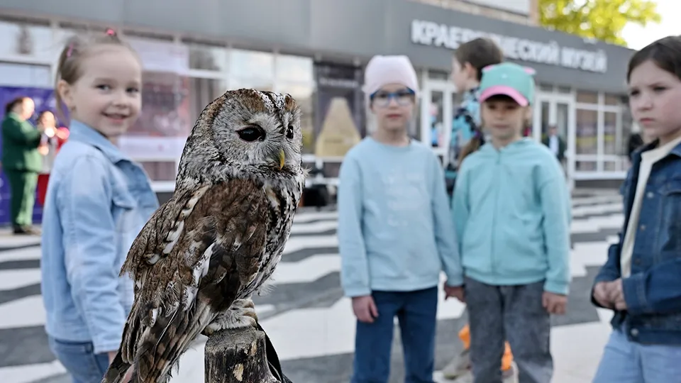 Фото: Сергей Демянюк