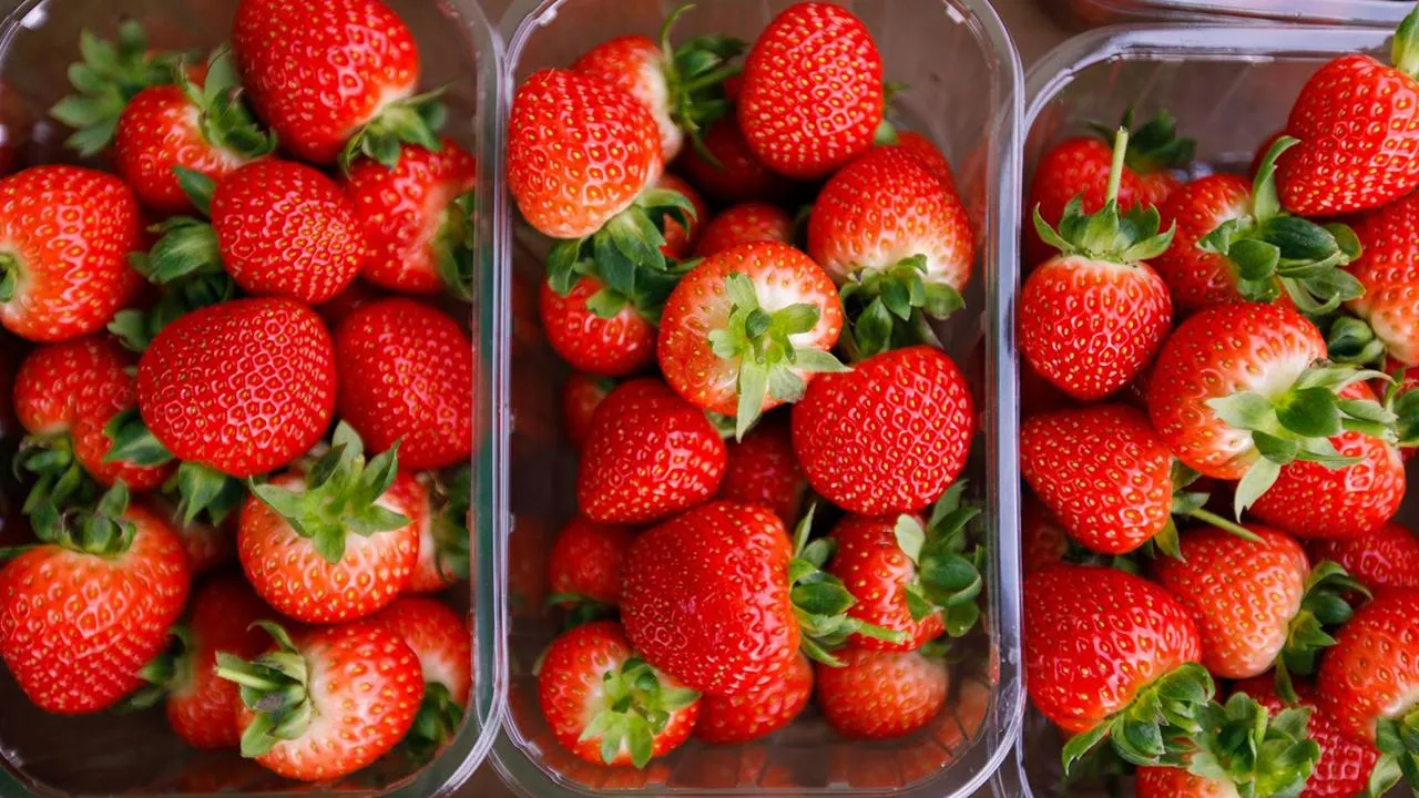 медиасток.рф