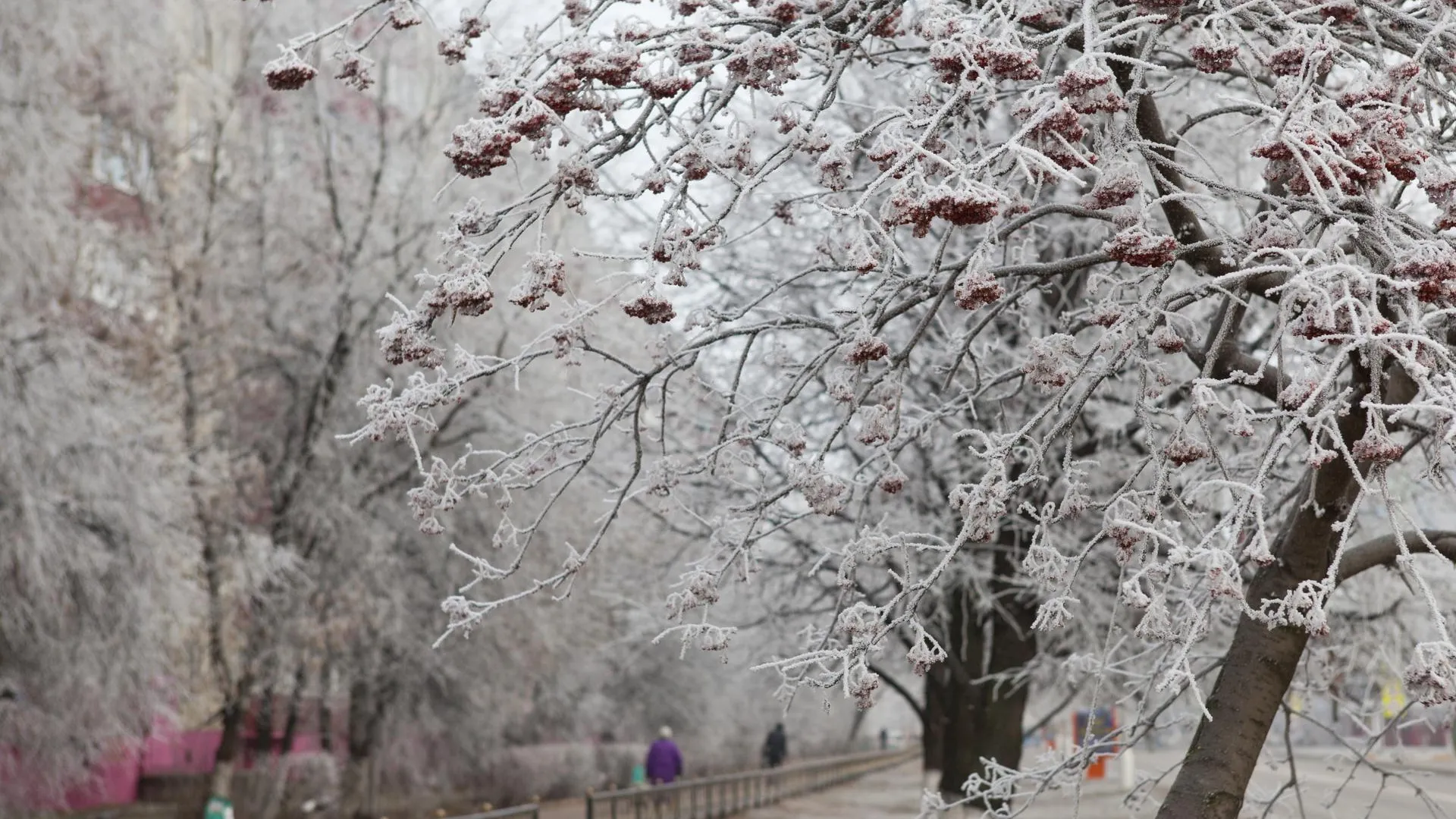 медиасток.рф
