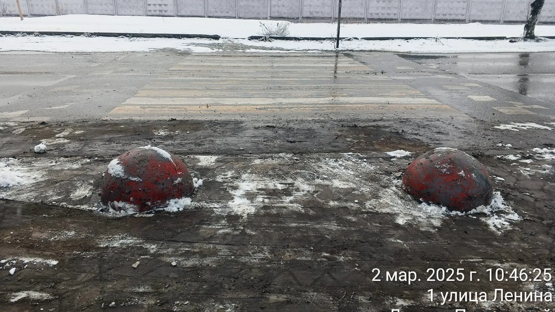 Фото: пресс-служба администрации г. о. Лосино-Петровский