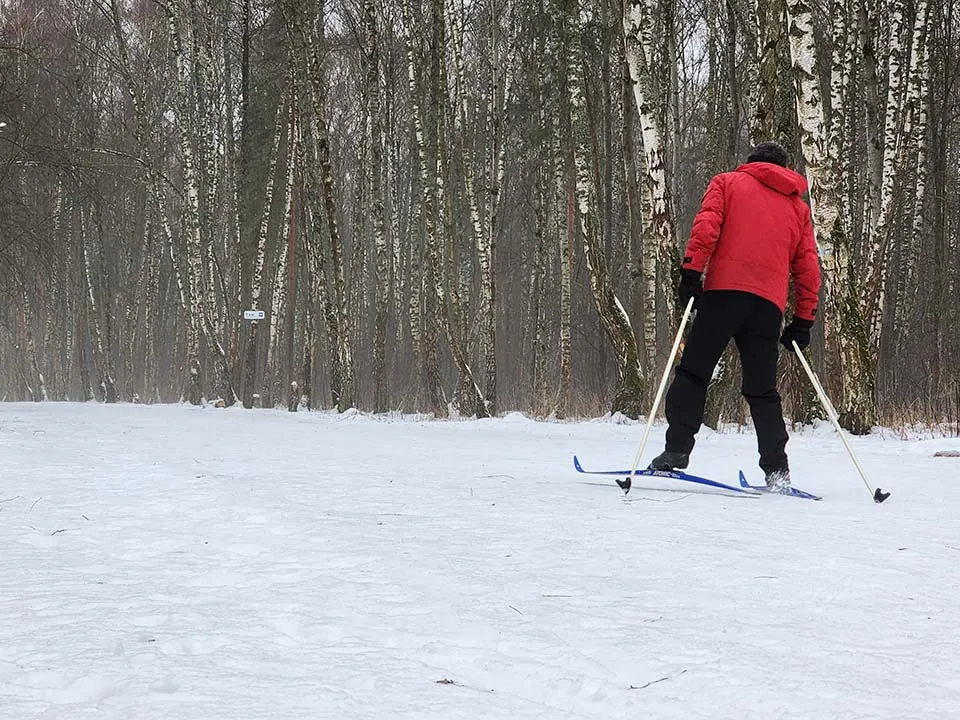 Фото: МедиаБанк Подмосковья/Анастасия Сараева
