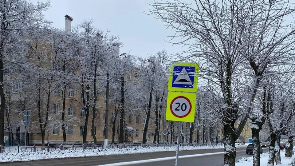 Фото: пресс-служба администрации г. о. Электросталь