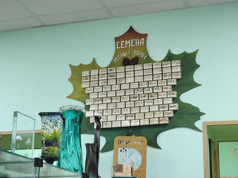 Фото: МедиаБанк Подмосковья/Роман Савельев