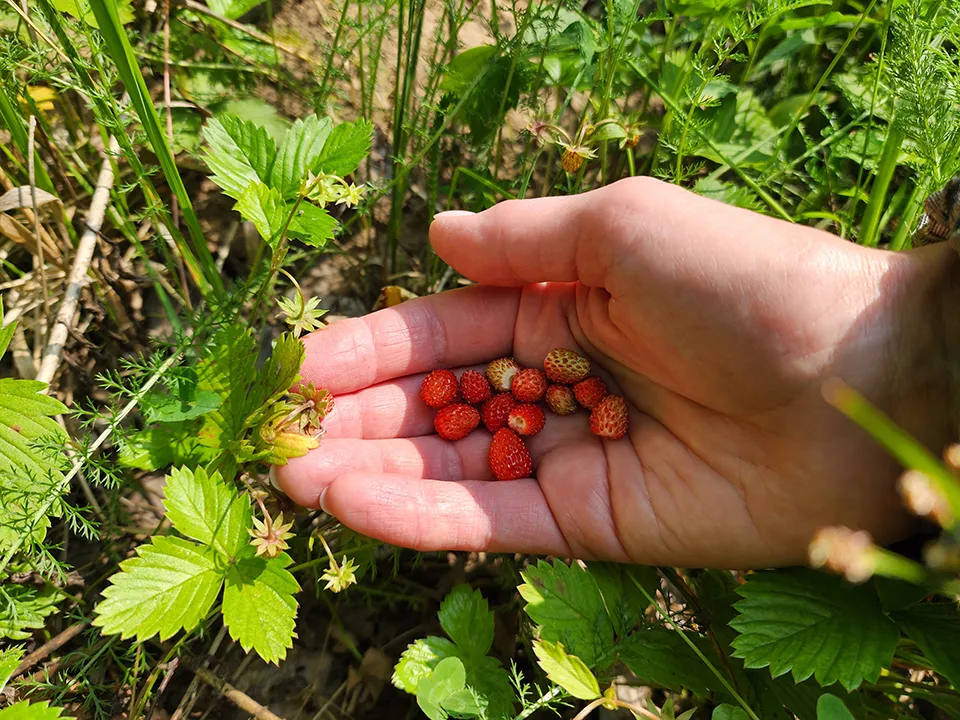 Фото: Михаил Мартыненко<br>