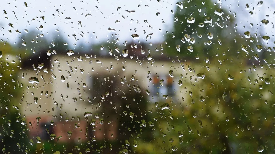 Фото: pxhere.com