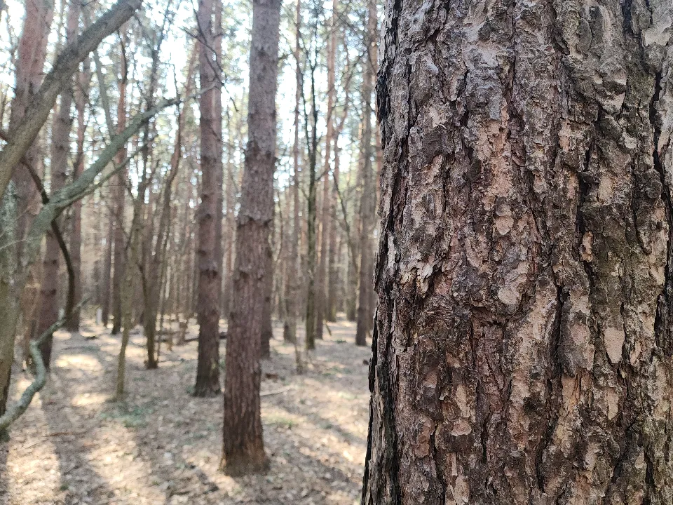 Фото: МедиаБанк Подмосковья/Мария Андрюхина