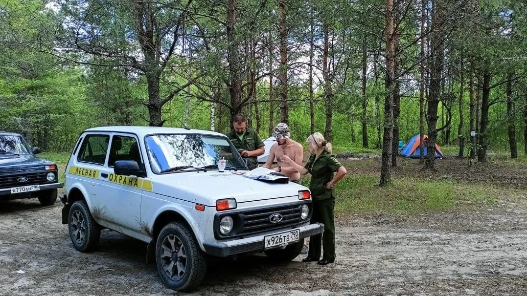 Лесная охрана Подмосковья провела почти сорок тысяч патрулирований с начала года
