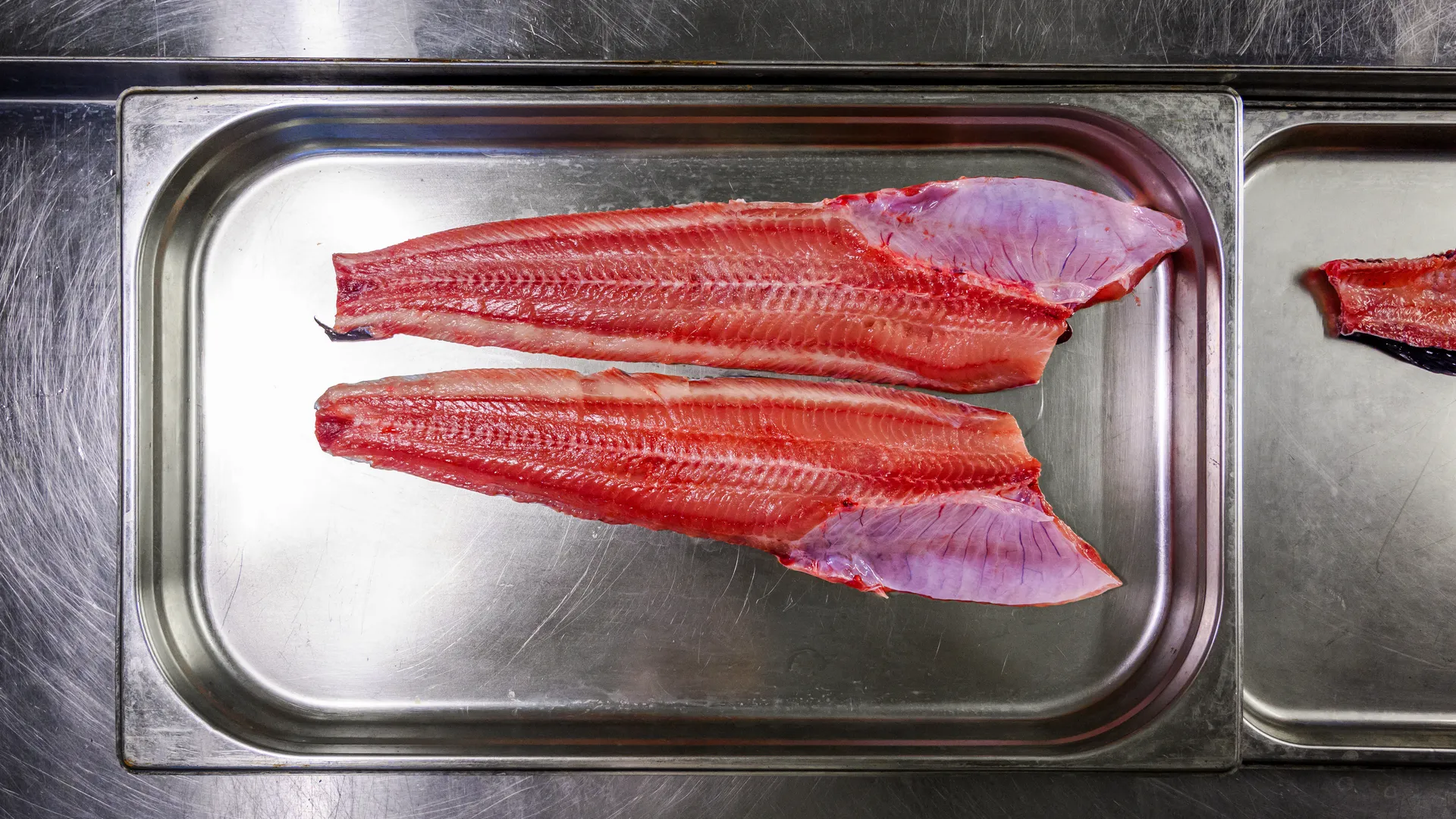 Свежую рыбу выращивают на акваферме «Астапово» в Луховицах