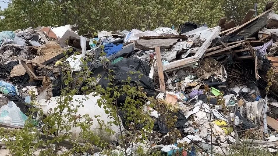 Фото: МедиаБанк Подмосковья/Валерия Ерофеева