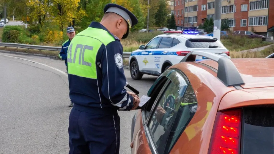Фото: Госавтоинспекция Московской области